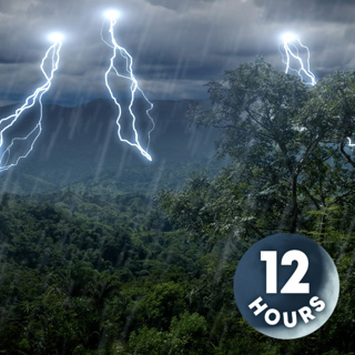 Rainforest Thunder & Rain Sleep Sounds 12 Hours | White Noise