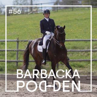Barbacka med Christian Brolin