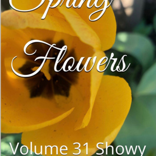 Spring Flowers Volume 31 Showy by Daniel Lucas
