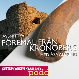 9. Arkeologiska fynd från Kronoberg. Med Åsa Alering