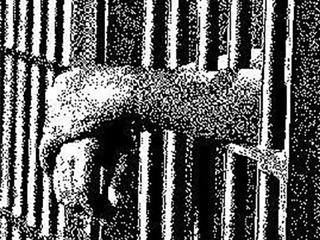 Detaining & Jailing: The Corporate Way on "I Take LIBERTY With My Coffee"