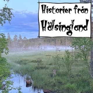 Skatter i hälsingenatten