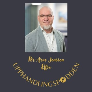 Avsnitt 39 - Kategoristyrning med Per-Arne Jonsson, Effso