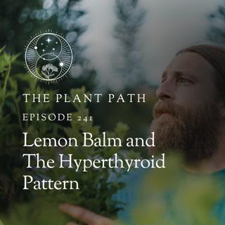 Lemon Balm and The Hyperthyroid Pattern