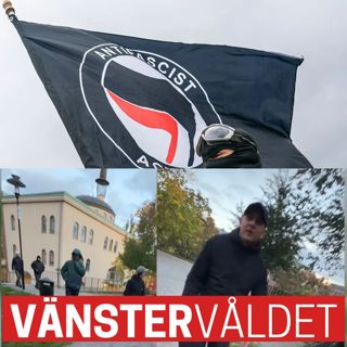 Lulle, 17, misshandlad: Ett samtal om vänstervåldet
