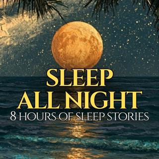 The Quiet Night | 8 Hours of Sleep Stories | SLEEP ALL NIGHT