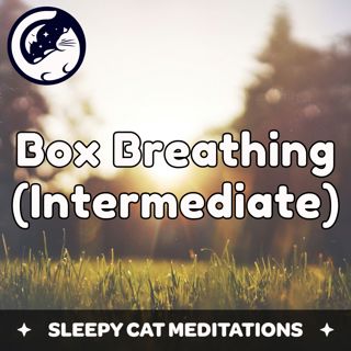 Box-Breathing Meditation (Intermediate Version)