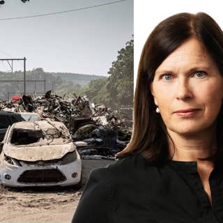 Djurens öde dominerar flödet efter översvämningskatastrofen: Cecilia Blomberg, Paris