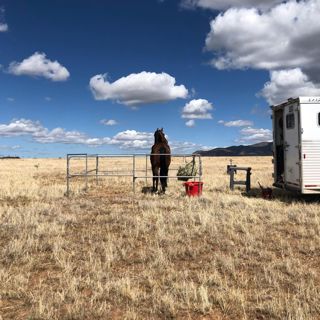 Man Against Horse