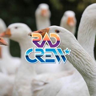 Rad Crew S18E13: Metal Goose Solid og Link våkner opp