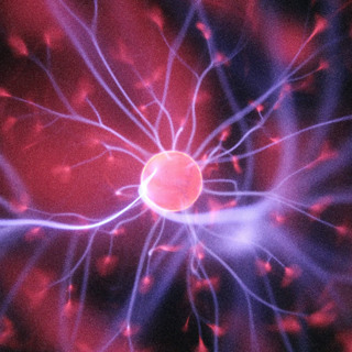 Research on meditation: Brain Reactions To Meditaton