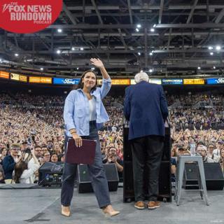 The Democrats' Widening Divide