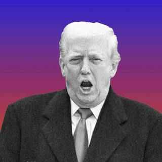 Pardon Me, Mr. President