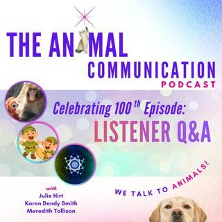 100th Episode with Listener Q&A