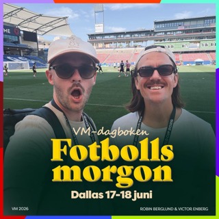 VM-dagboken: Dallas 17-18 juni (Pitchside under landslagets träning)