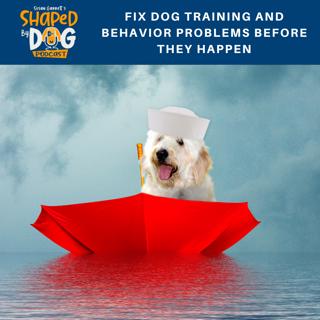 Fix Dog Training and Behavior Problems Before They Happen #93