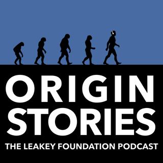 Top Human Origins Discoveries of 2025
