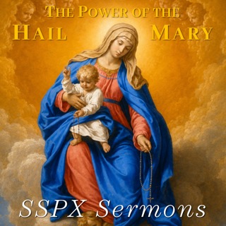 The Power of the Hail Mary – SSPX Sermons