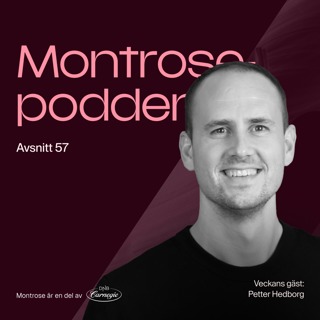 #57 - Nästan allt du behöver veta om insynshandel med Modular Finance vd Petter Hedborg