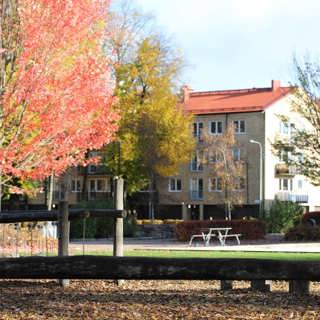 Måndag 27 oktober 2025