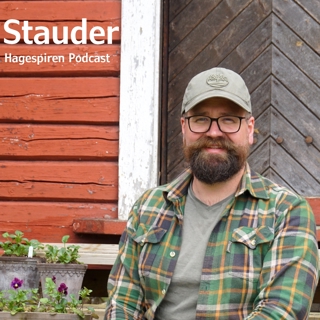 12/26: Stauder med Tommy Tønsberg