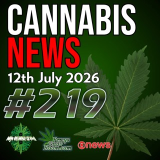 Cannabis Smuggling, July Strain Roundup, Cancer Risk Study & Could Andy Burnham Legalise Cannabis? | Cannabis News Ep. 219