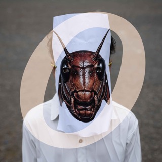 What's behind India's 'cockroach' protests?