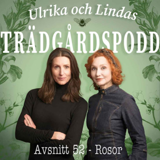 Avsnitt 52 - Rosor (Sofiero slott)