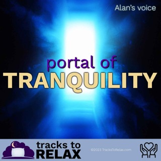 Portal Of Tranquility Sleep Meditation