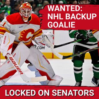 Navigating the Ottawa Senators Back Up Goalie Conundrum: Free Agency, Trade or Internal Solution?