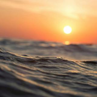 😴🌊🎵 The MUSIC that Whispers and the WAVES that Murmur for a Good NIGHT'S SLEEP