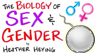 Sex & Gender: An Evolutionary Perspective - Heather Heying | After Skool