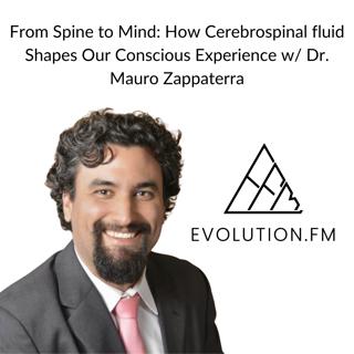 How Consciousness Science Explains Cerebrospinal Fluid and Inner Awareness (Dr. Mauro Zappaterra)