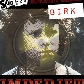 S08E22. Humanity against Birk
