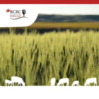 Episode 62: Utilizing Annual and Perennial Forages to Improve Productivity
