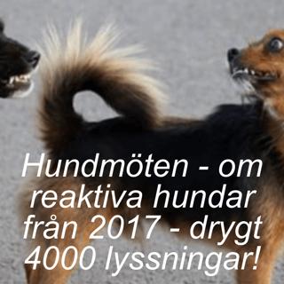 Hundmöten - om reaktiva hundar från september 2017 - drygt 4000 lyssningar!