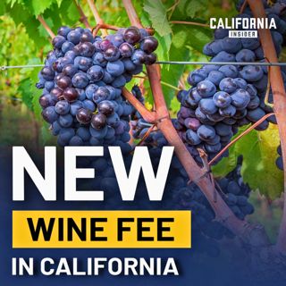 This California Winemaker Says Forced Membership Fees Could Reach Any Industry | Kate Griffith
