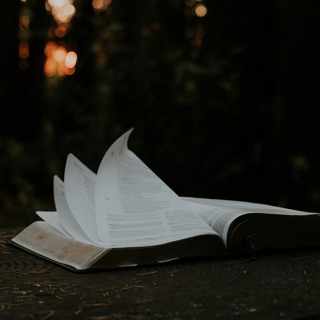 THE ONE WHEN THE STORY ISN’T OVER - Homily Easter Sunday April 5, 2026