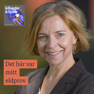 Karin Bodin. Polarbröd – att bygga tillbaka bättre.