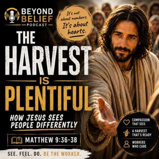The Harvest Is Plentiful | Matthew 9:36-38
