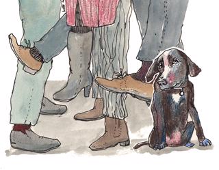 Allmän stress hos hund - Över- och understimulering