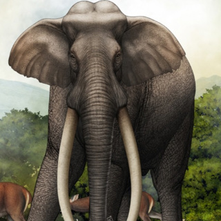 The Biggest Land Mammal To Ever Live