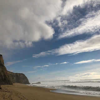 Episode 9: Scott Creek Beach