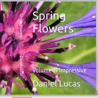 Spring Flowers Volume 27 Impressive by Daniel Lucas