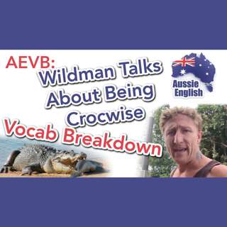AE 276.2 - AEVB: Wildman Talks About Being Crocwise - Vocab Breakdown