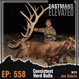 Episode 558: Consistent Herd Bulls with Jon Gabrio