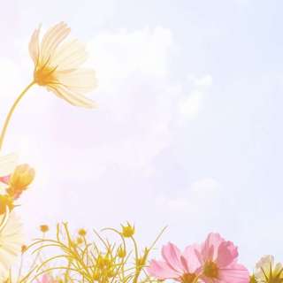 8.29.21 - The Gift of God's Law