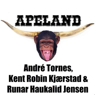 André Tornes, Kent Robin Kjærstad og Runar Haukalid Jensen