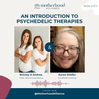 An Introduction to Psychedelic Therapies w/ Karen Kieffer | Snowfields Coaching