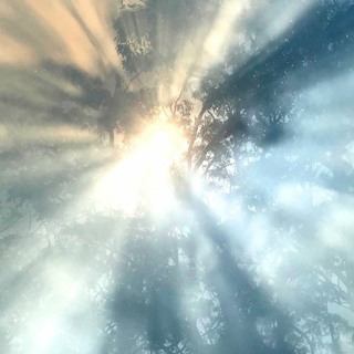 Forest fires heat up our world